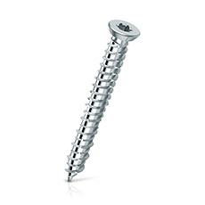 Self Tapping Screw